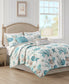 Aqua Swatch